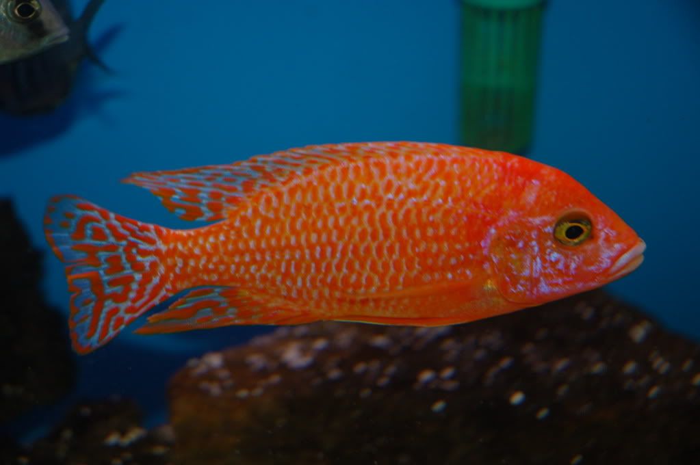DSC_0256.jpg