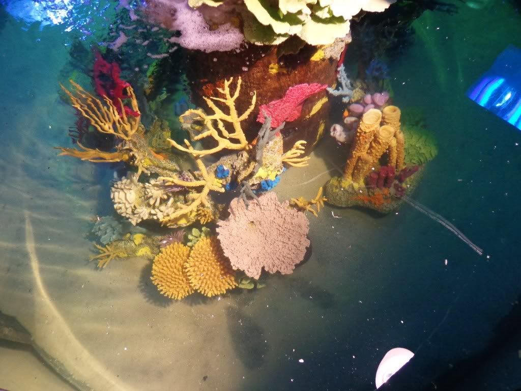 DSC01102.jpg