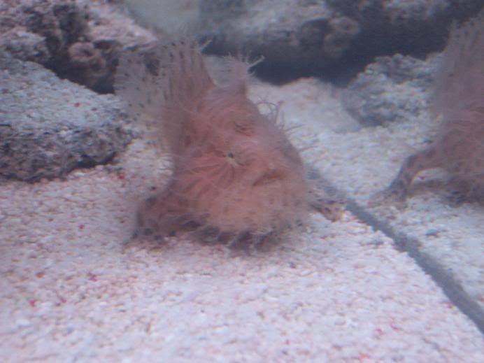 100_4005.jpg