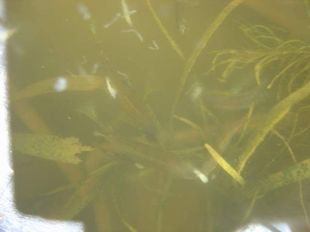 DSC05878.jpg