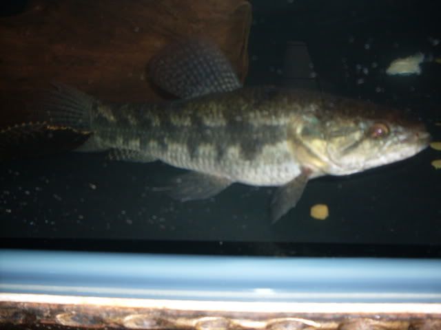 SDC10177.jpg