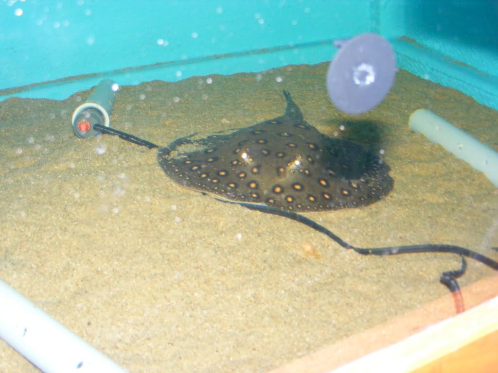 DSCF2684.jpg