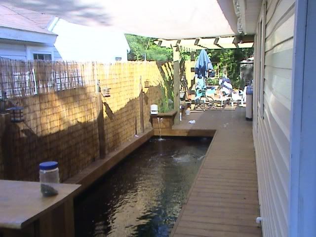 DSC00980.jpg