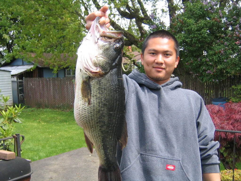 bassin07025.jpg