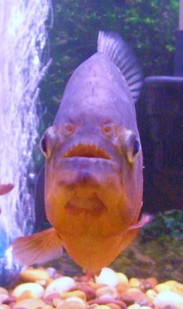 DSCF6625.jpg