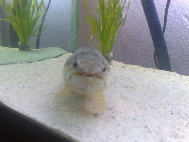 15092008527.jpg