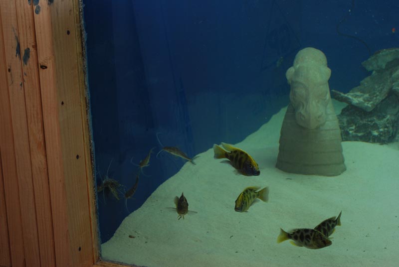 DSC_0216.JPG