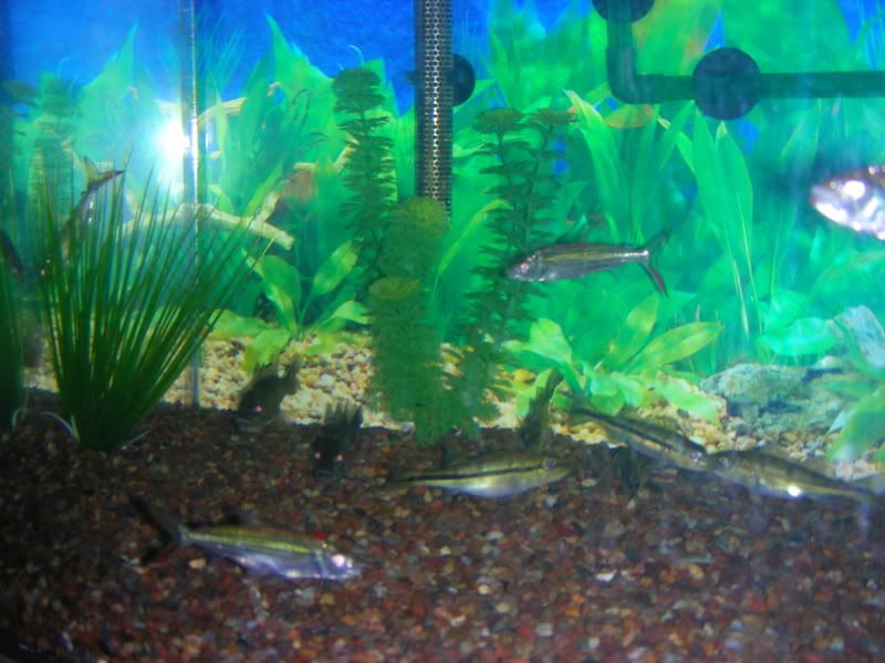DSCN1534.jpg
