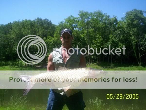 l_963e3b13cca44554a48c03acba2befa5.jpg