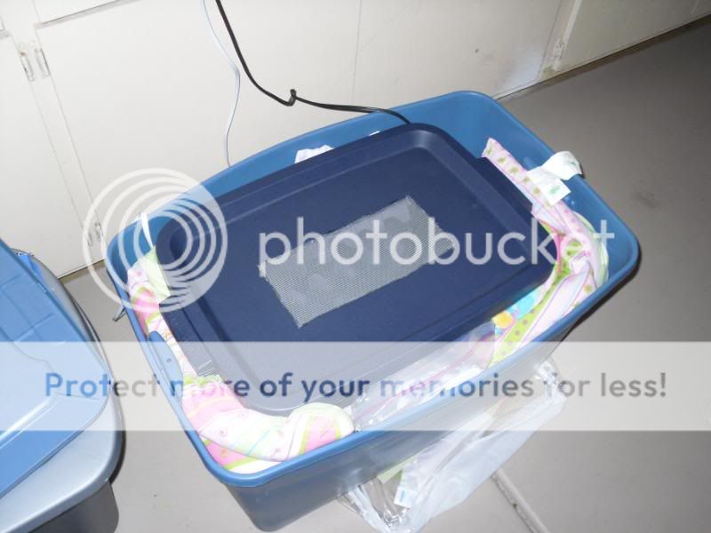 SDC10376.jpg