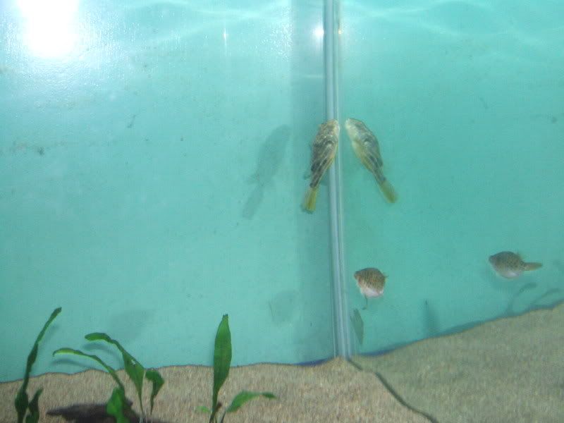 DSCF1946.jpg