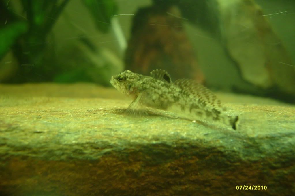 S7306060.jpg