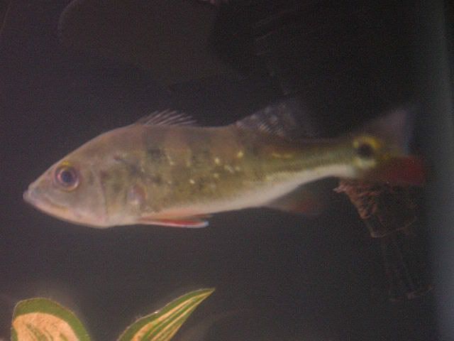 DSCN1984.jpg