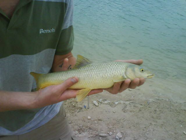 DSC00213.jpg