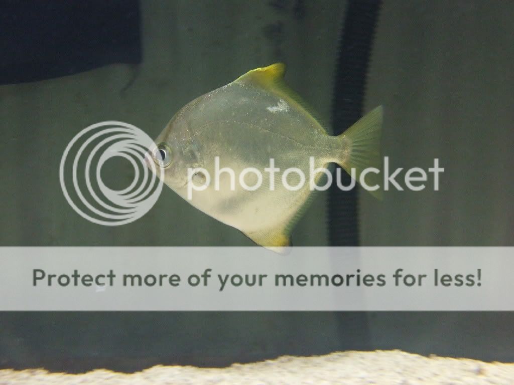 DSCF1707.jpg