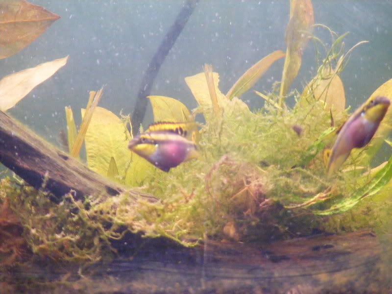 33gallon009.jpg