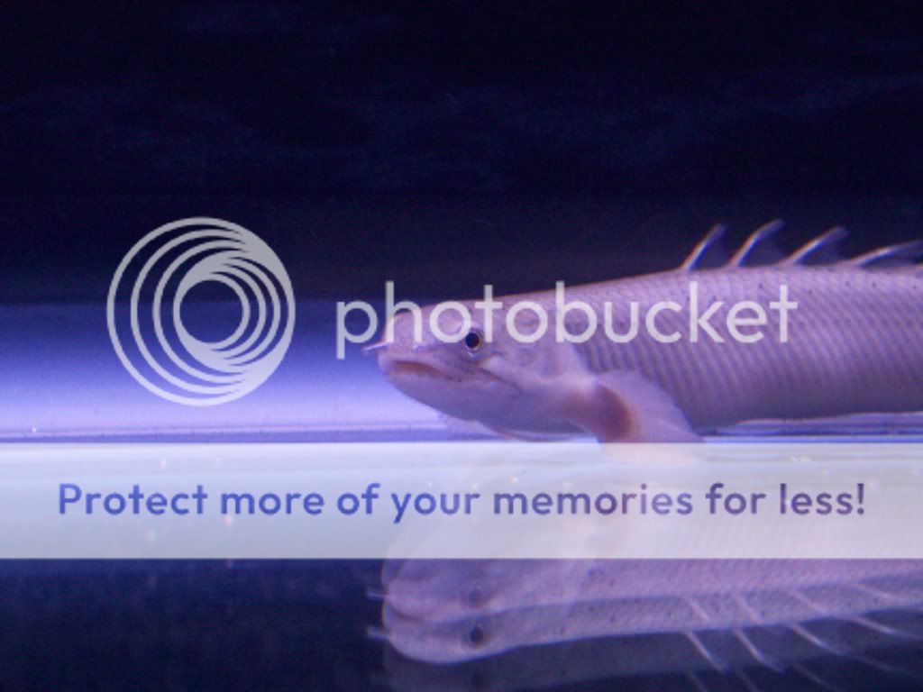 000_0007-1.jpg