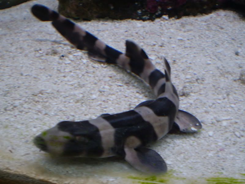 PC250026.jpg