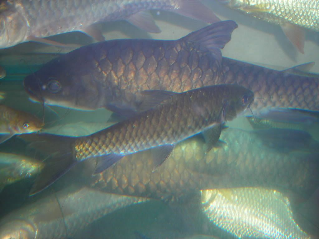 DSCN1573.jpg