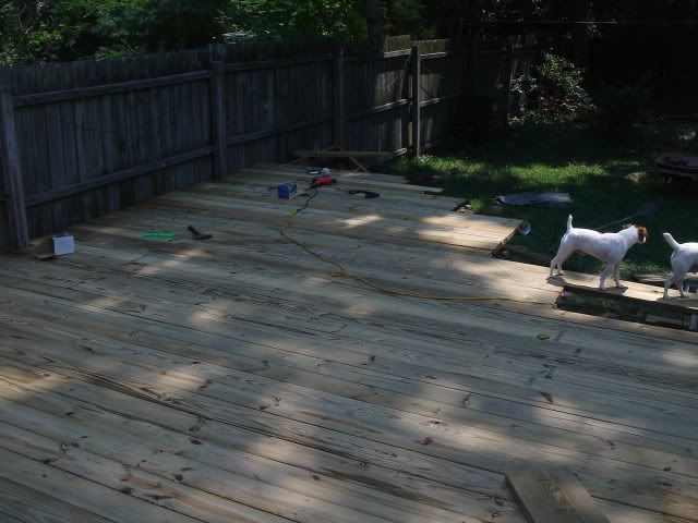 DSC05255.jpg