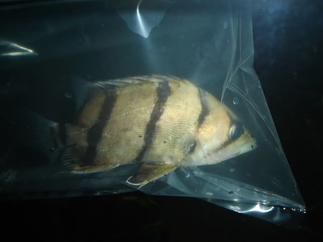 DSC00349.jpg