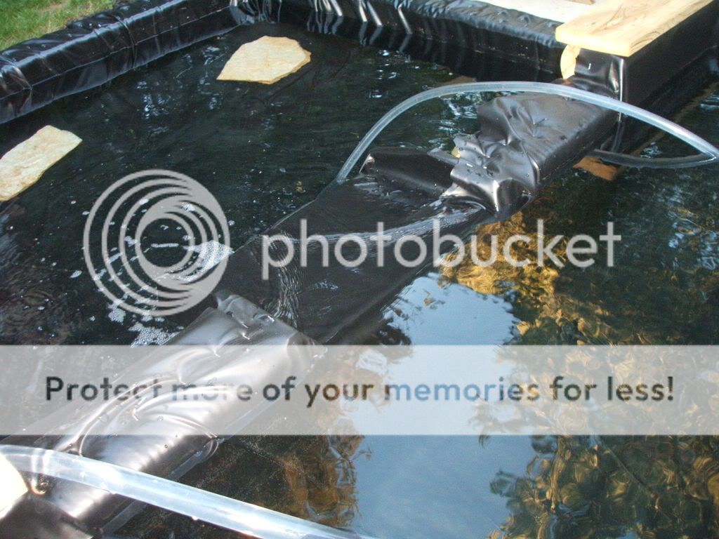 DSCF4768.jpg