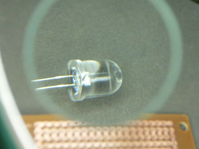 P1030746.jpg