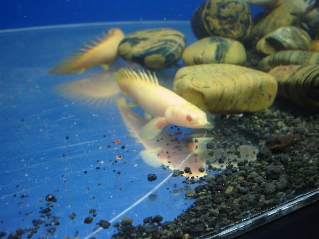 DSC08640.jpg