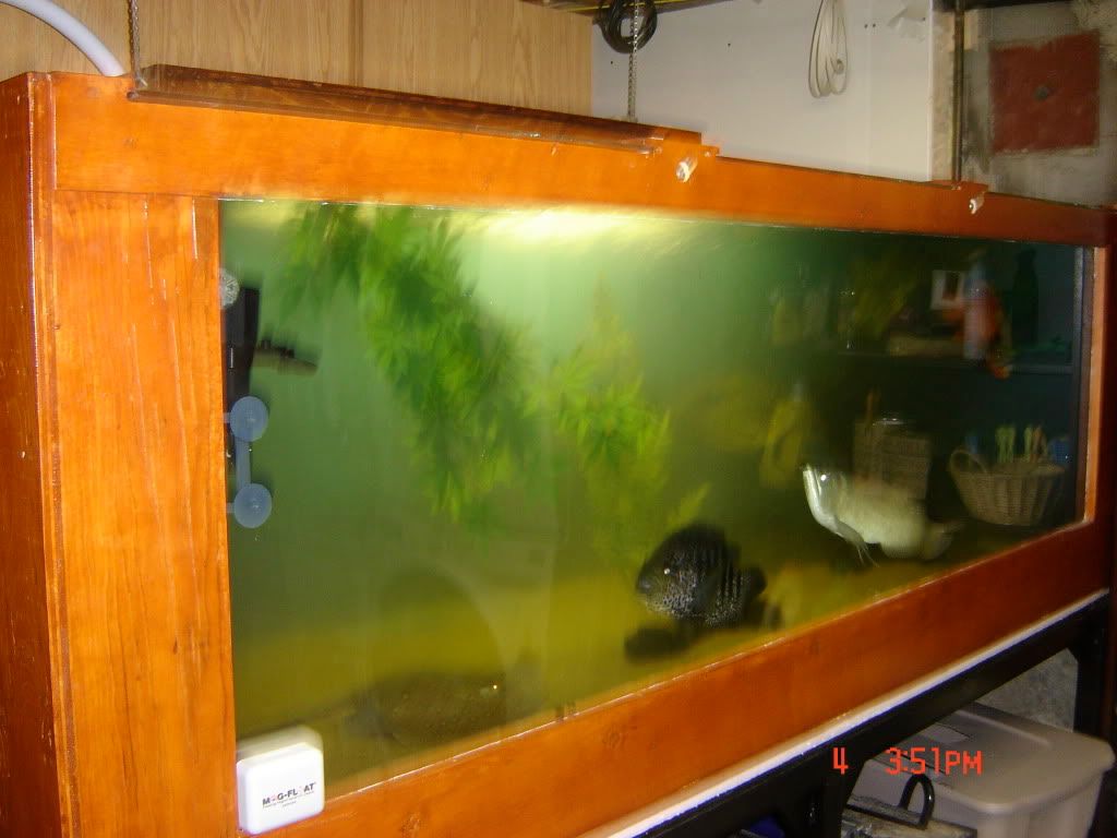 DSC04208.jpg