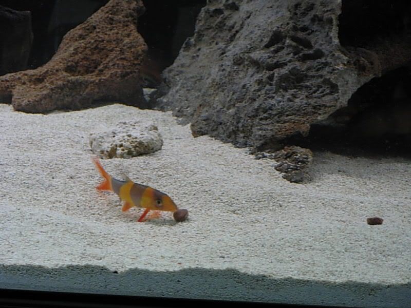 DSCN1322.jpg