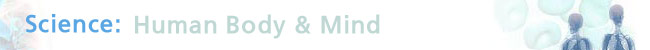 banner_new.jpg