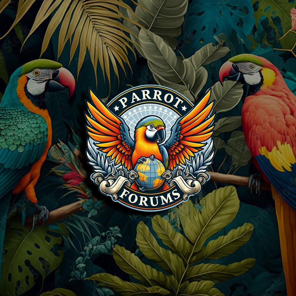 www.parrotforums.com