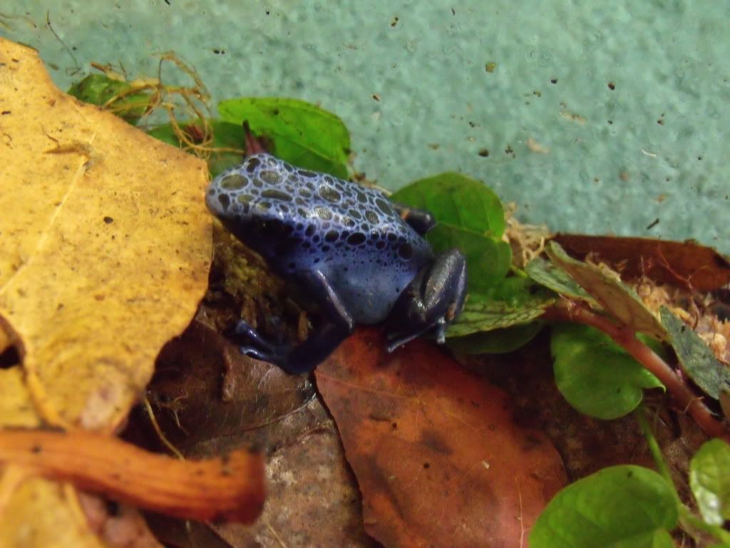 2011_0331newstuff0030.jpg
