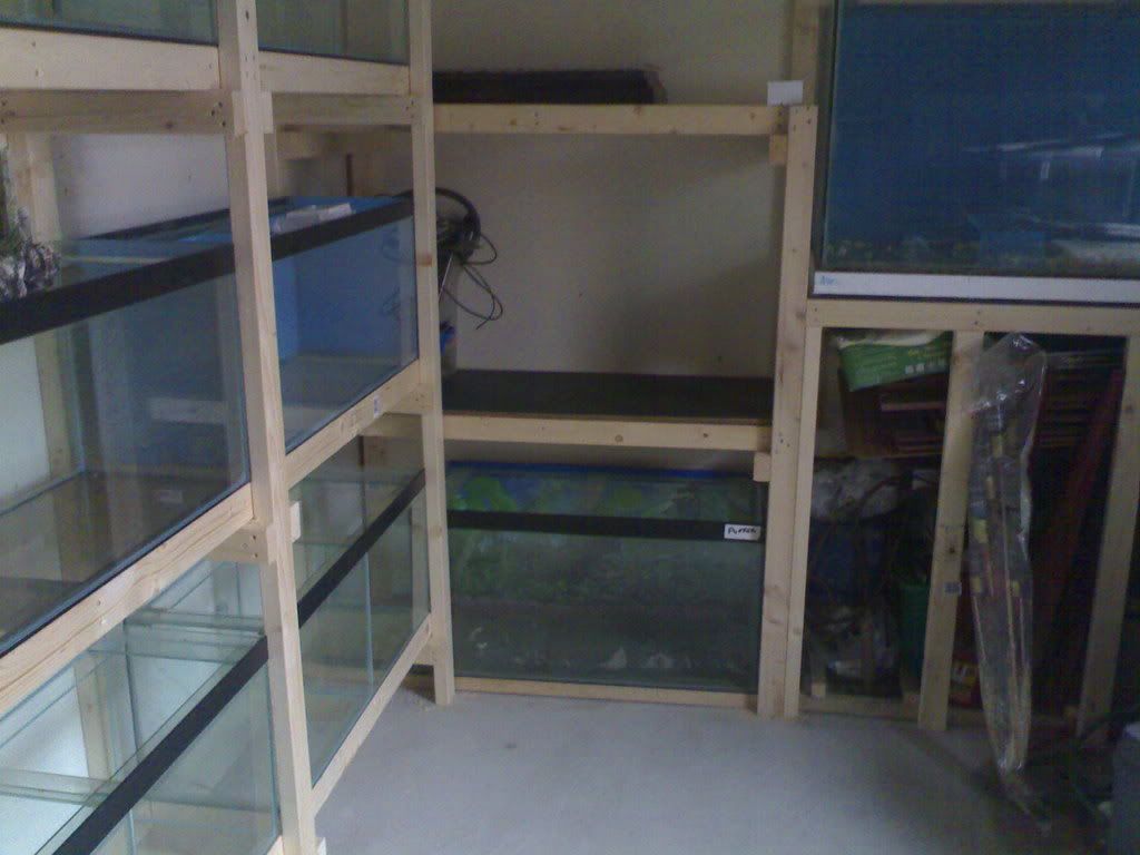 12102007504.jpg