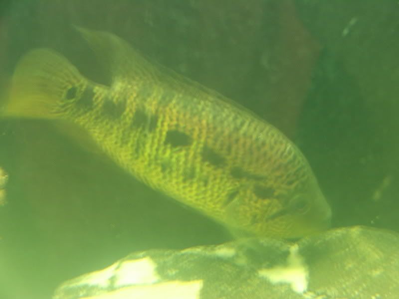 DSCF1277.jpg