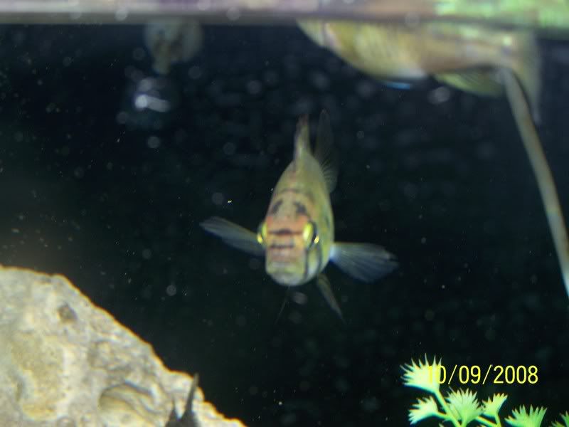 100_1278.jpg