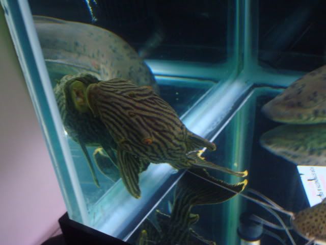 DSC07955.jpg