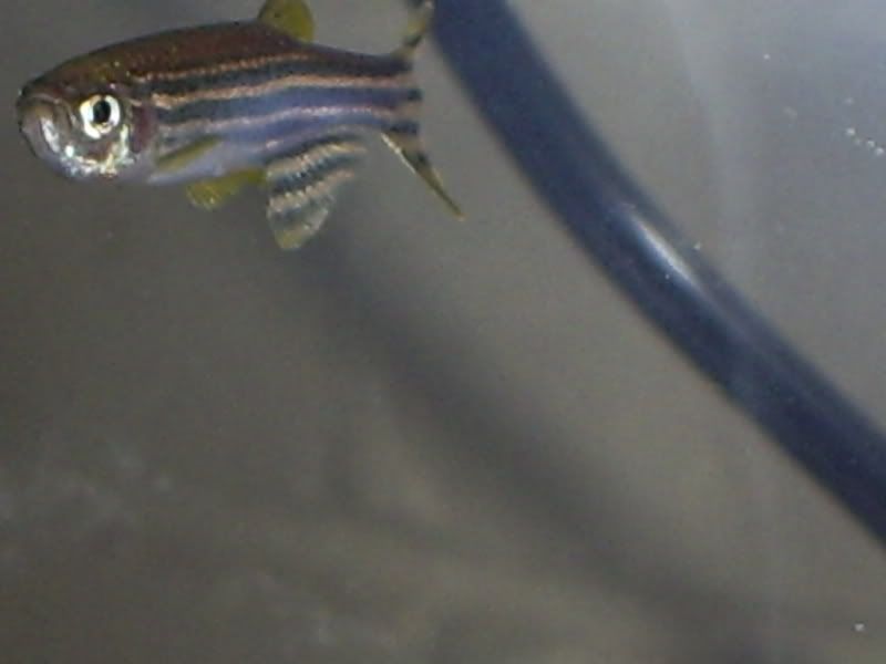 S5031277.jpg