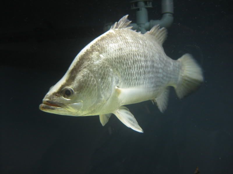 IMG_9085.jpg