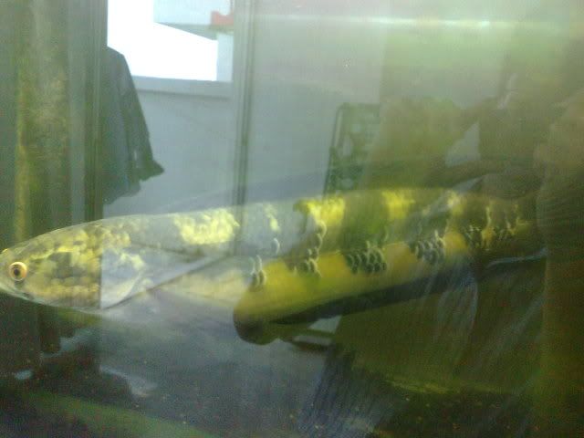 260220111422.jpg