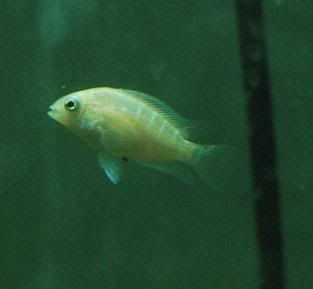DSC_8094.jpg