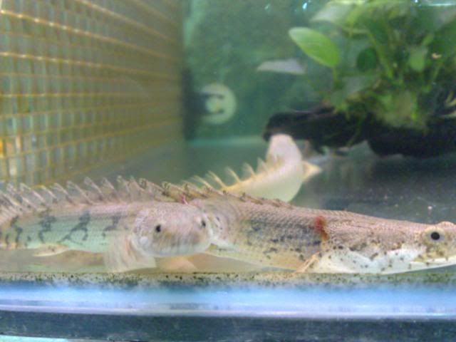 23102007376.jpg