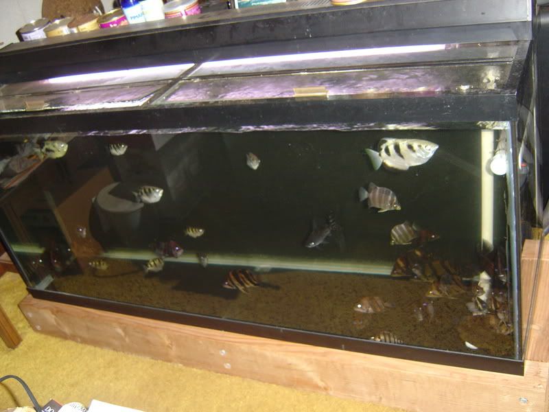 7-18-08013.jpg