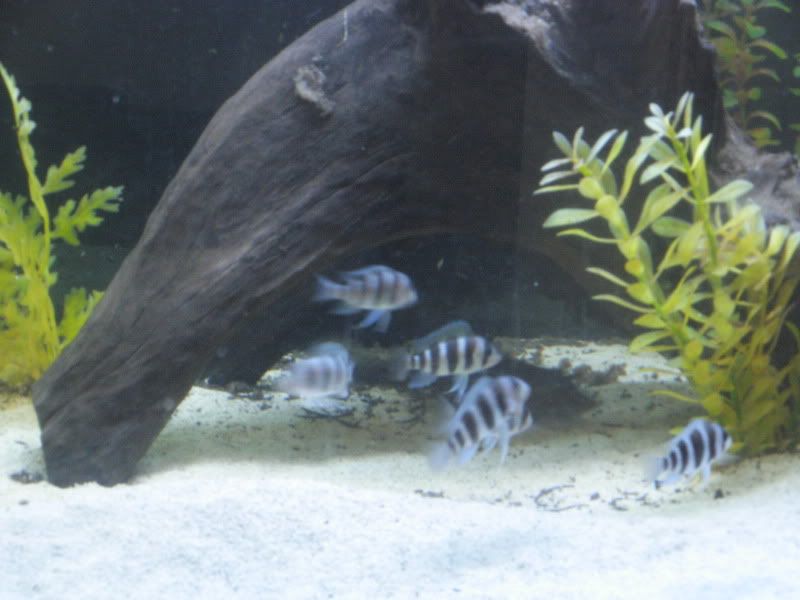 DSCN2575.jpg