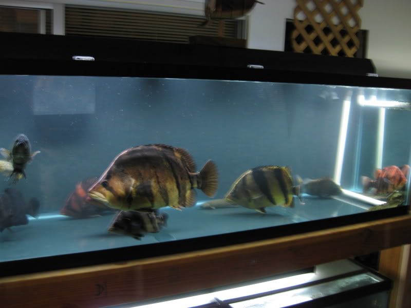4-19-09012.jpg