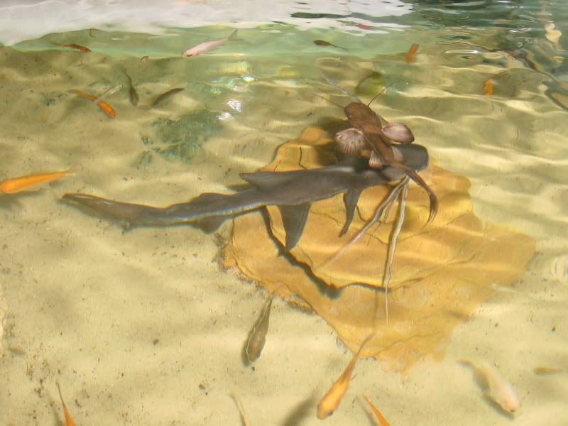 DSC00015.jpg