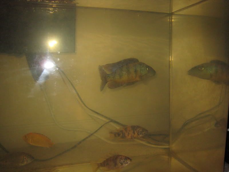 IMG_4315.jpg