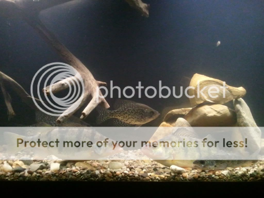 2012-02-19212043.jpg