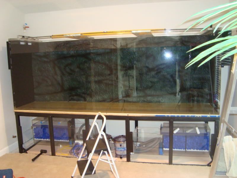 fishtankbuild2027.jpg