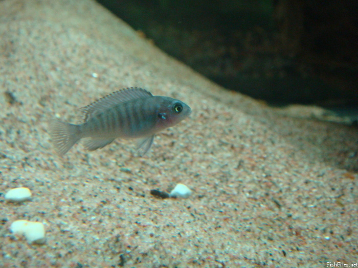 227q7fdv_DSC02288.JPG